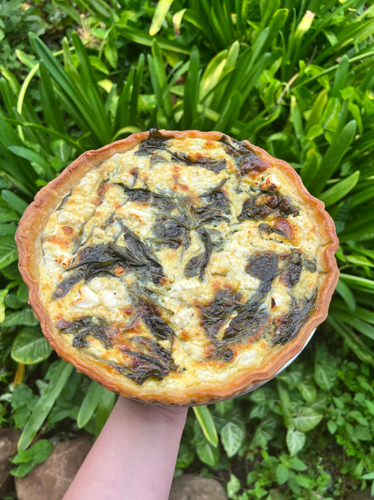 Family Quiche