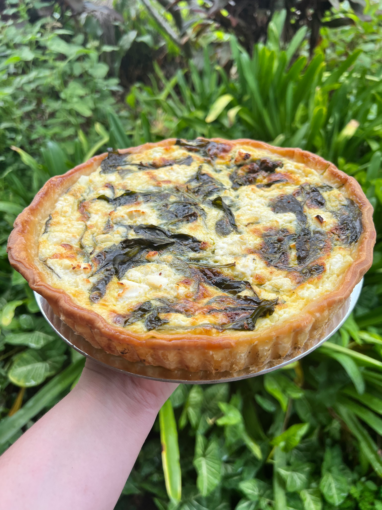 Family Quiche