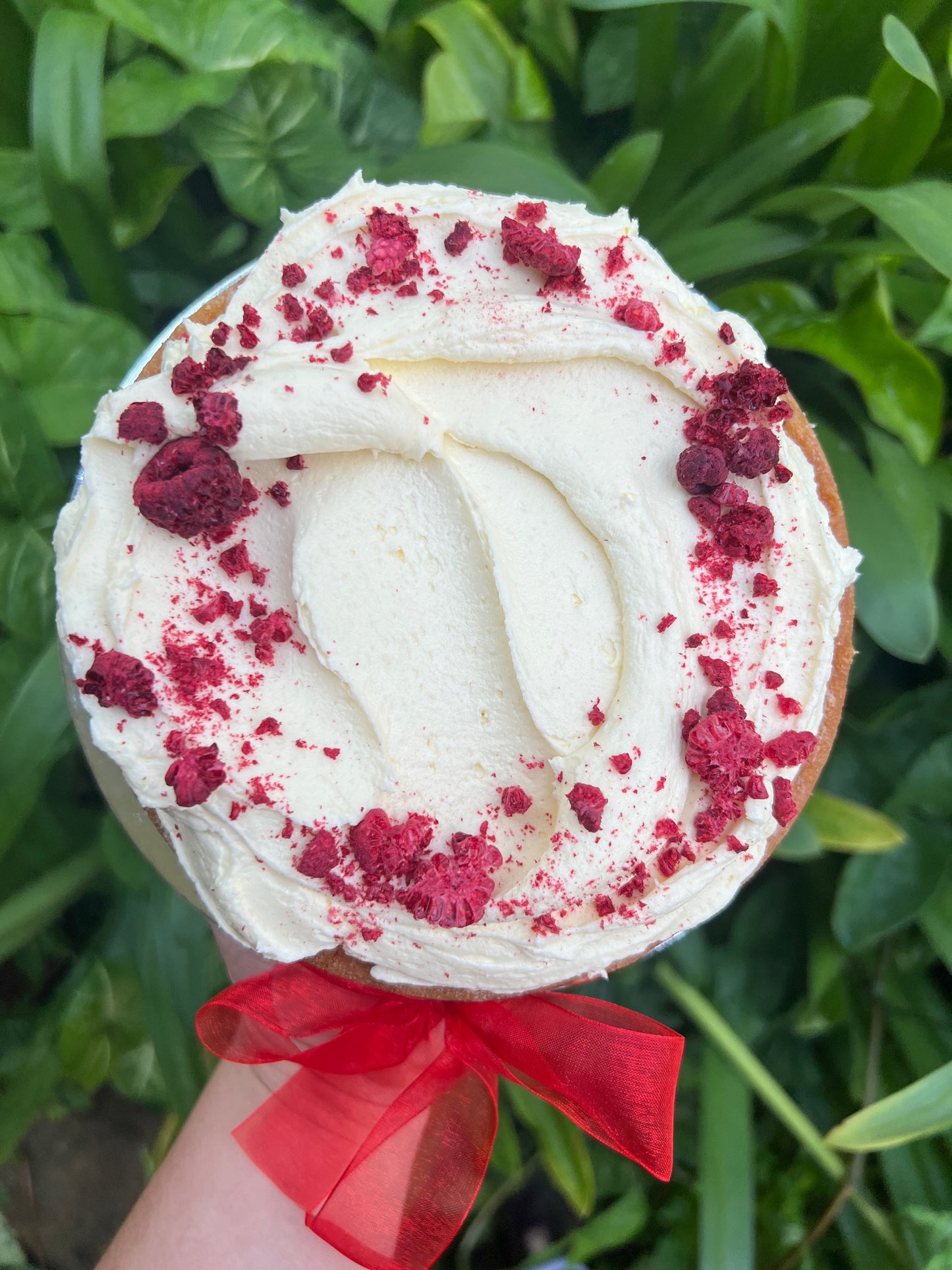 Vanilla Butter Cake with Raspberries