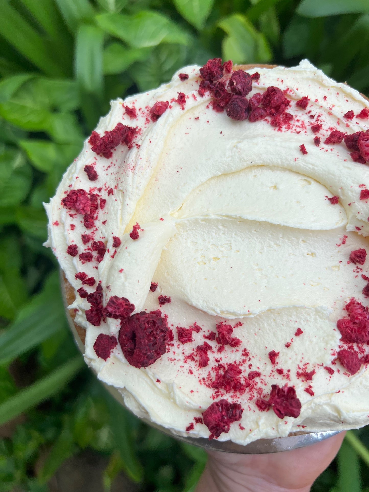Vanilla Butter Cake with Raspberries